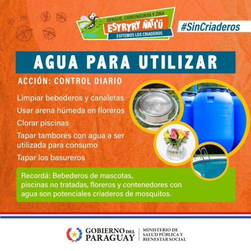Dengue en Paraguay: estabilidad epidemiológica y llamados a reforzar la prevención