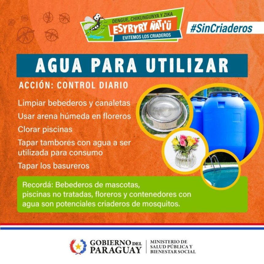 Dengue en Paraguay: estabilidad epidemiológica y llamados a reforzar la prevención