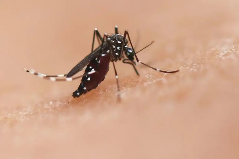 Paraguay alerta: aumento de casos respiratorios y repunte de dengue obligan a no bajar la guardia